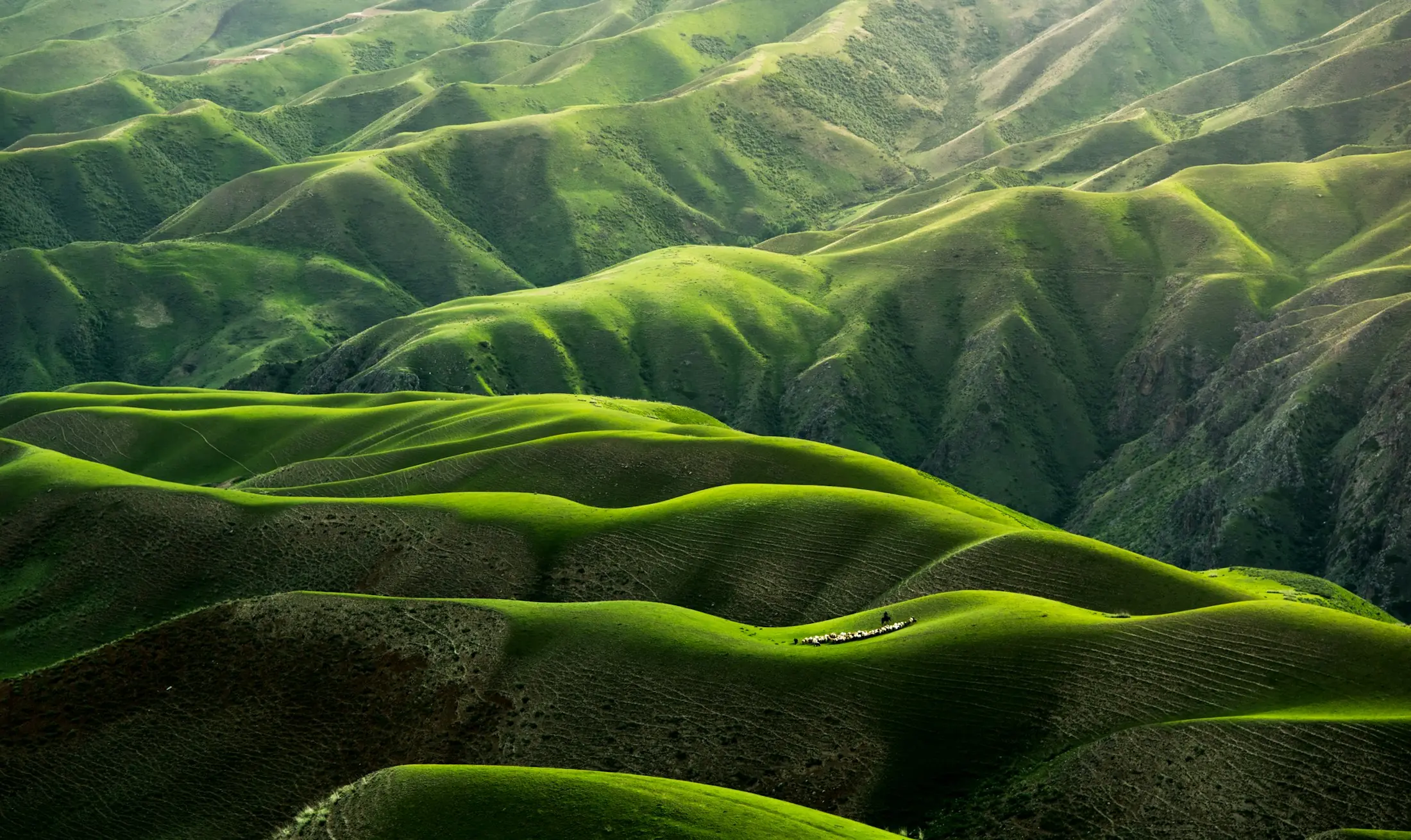 Cordillera verde recortada contra el cielo